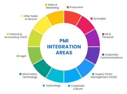 6390a6899d7ae6ba213df359_PMI-Integration-Areas